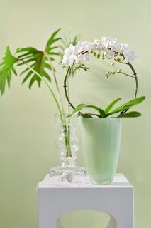 interieur Interieur